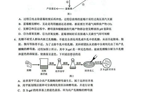 生物试卷_2025年7月_250706广西壮族自治区2025年春季学期百色市高中高二年级期末教学质量调研测试（全科）_广西壮族自治区2025年春季学期百市高中高二年级期末教学质量调研测试生物