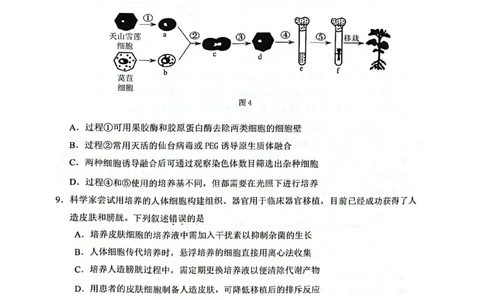 生物试卷_2025年7月_250706广西壮族自治区2025年春季学期百色市高中高二年级期末教学质量调研测试（全科）_广西壮族自治区2025年春季学期百市高中高二年级期末教学质量调研测试生物