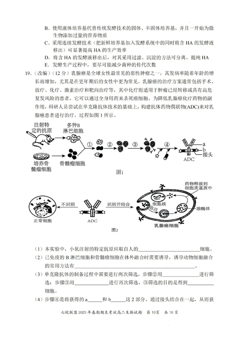生物试卷+答案_2025年7月_250704重庆市七校联盟2025年春期高二年级期末考试（全科）