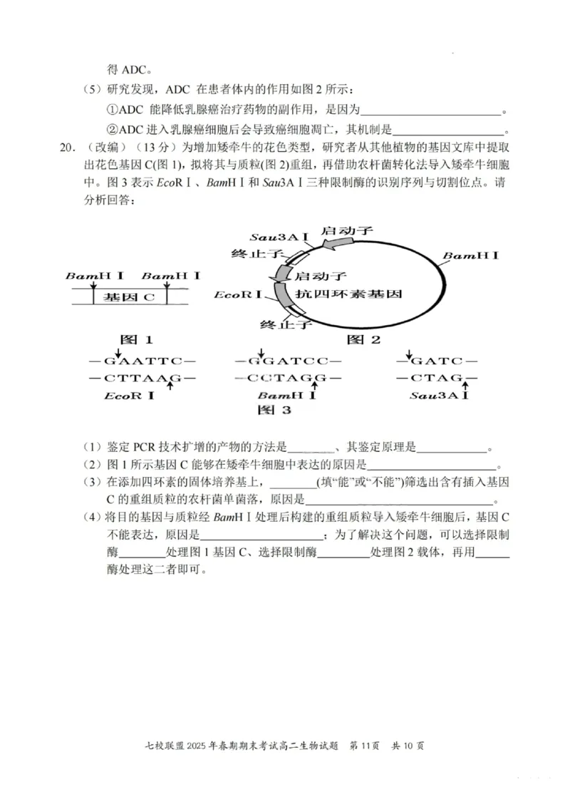 生物试卷+答案_2025年7月_250704重庆市七校联盟2025年春期高二年级期末考试（全科）