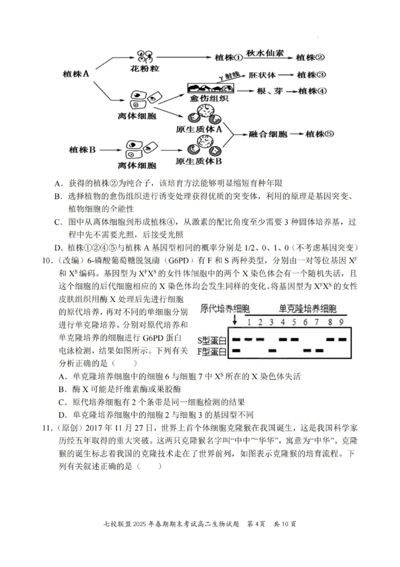 生物试卷+答案_2025年7月_250704重庆市七校联盟2025年春期高二年级期末考试（全科）