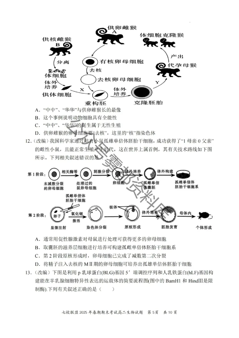 生物试卷+答案_2025年7月_250704重庆市七校联盟2025年春期高二年级期末考试（全科）