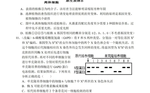 生物试卷+答案_2025年7月_250704重庆市七校联盟2025年春期高二年级期末考试（全科）