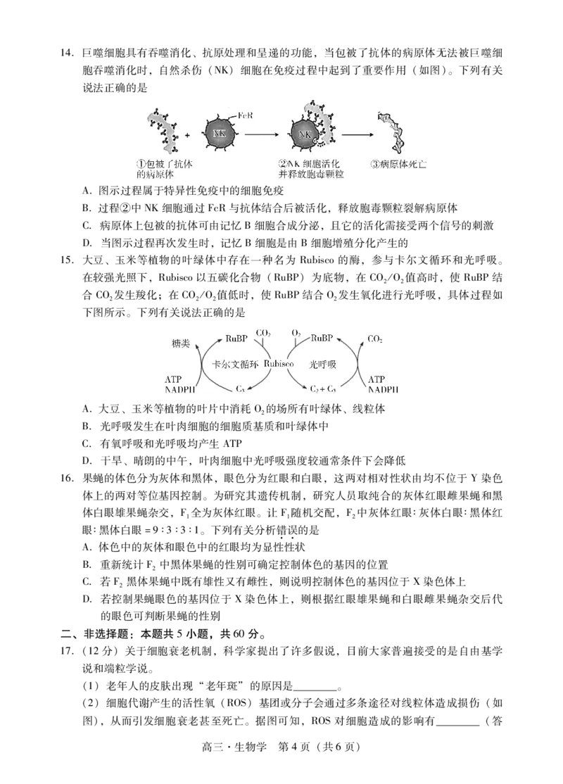 肇庆市2024届高三第二次教学质量检测生物试卷_2024届广东省肇庆市高三上学期第二次教学质量检测_广东省肇庆市2024届高三上学期第二次教学质量检测生物