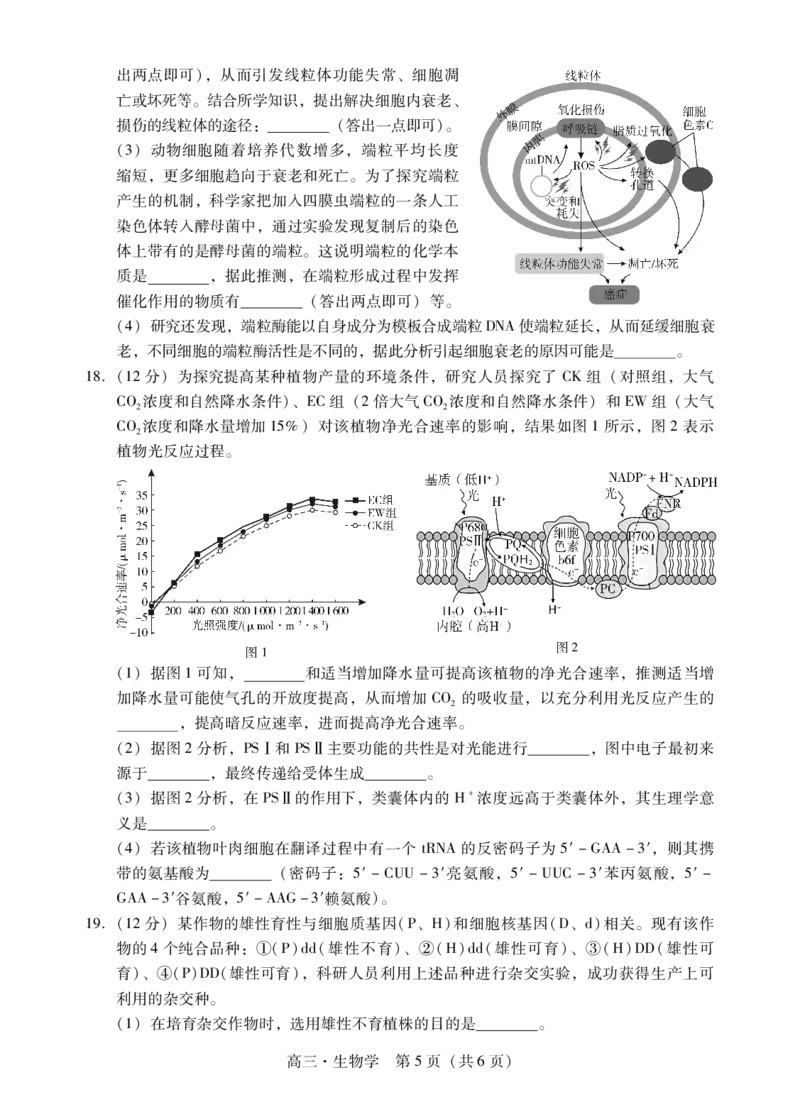 肇庆市2024届高三第二次教学质量检测生物试卷_2024届广东省肇庆市高三上学期第二次教学质量检测_广东省肇庆市2024届高三上学期第二次教学质量检测生物
