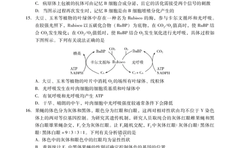 肇庆市2024届高三第二次教学质量检测生物试卷_2024届广东省肇庆市高三上学期第二次教学质量检测_广东省肇庆市2024届高三上学期第二次教学质量检测生物