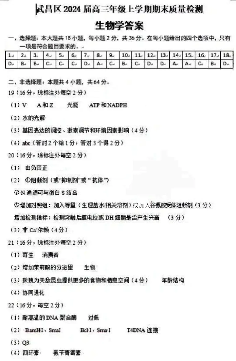答案_2024届湖北省武汉市武昌区高三上学期期末质量检测试题_2024届湖北省武汉市武昌区高三上学期期末质量检测试题生物