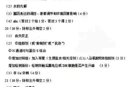 答案_2024届湖北省武汉市武昌区高三上学期期末质量检测试题_2024届湖北省武汉市武昌区高三上学期期末质量检测试题生物