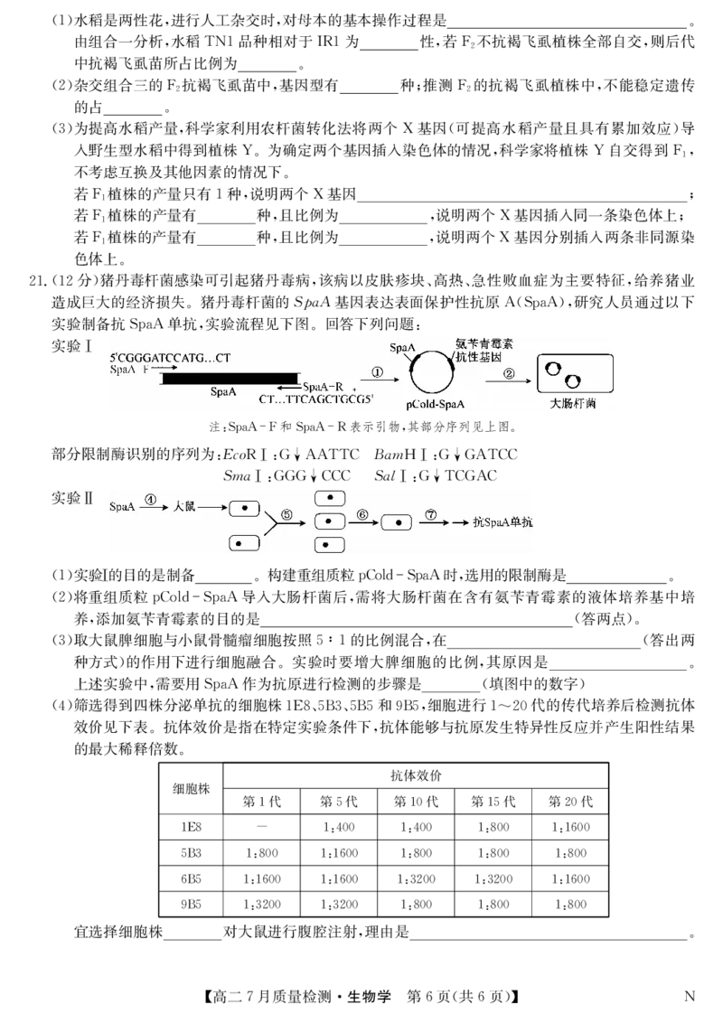生物-7月质量检测（N）_2025年7月_250728江西省九师联盟2024-2025学年高二下学期7月质量检测（摸底考试）（7.24）（全科）_0823204624