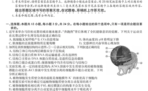 生物-7月质量检测（N）_2025年7月_250728江西省九师联盟2024-2025学年高二下学期7月质量检测（摸底考试）（7.24）（全科）_0823204624