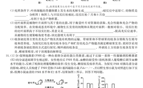 生物-7月质量检测（N）_2025年7月_250728江西省九师联盟2024-2025学年高二下学期7月质量检测（摸底考试）（7.24）（全科）_0823204624