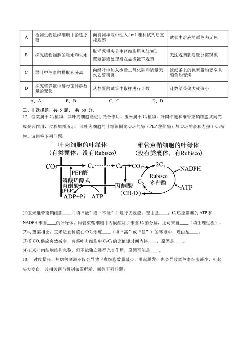 生物（江西卷）（考试版）_2024年1月_01每日更新_13号_学易金卷丨2024年1月&ldquo;七省联考&rdquo;考前猜想卷_生物（江西卷）_生物（江西卷）-2024年1月&ldquo;七省联考&rdquo;考前生物猜想卷