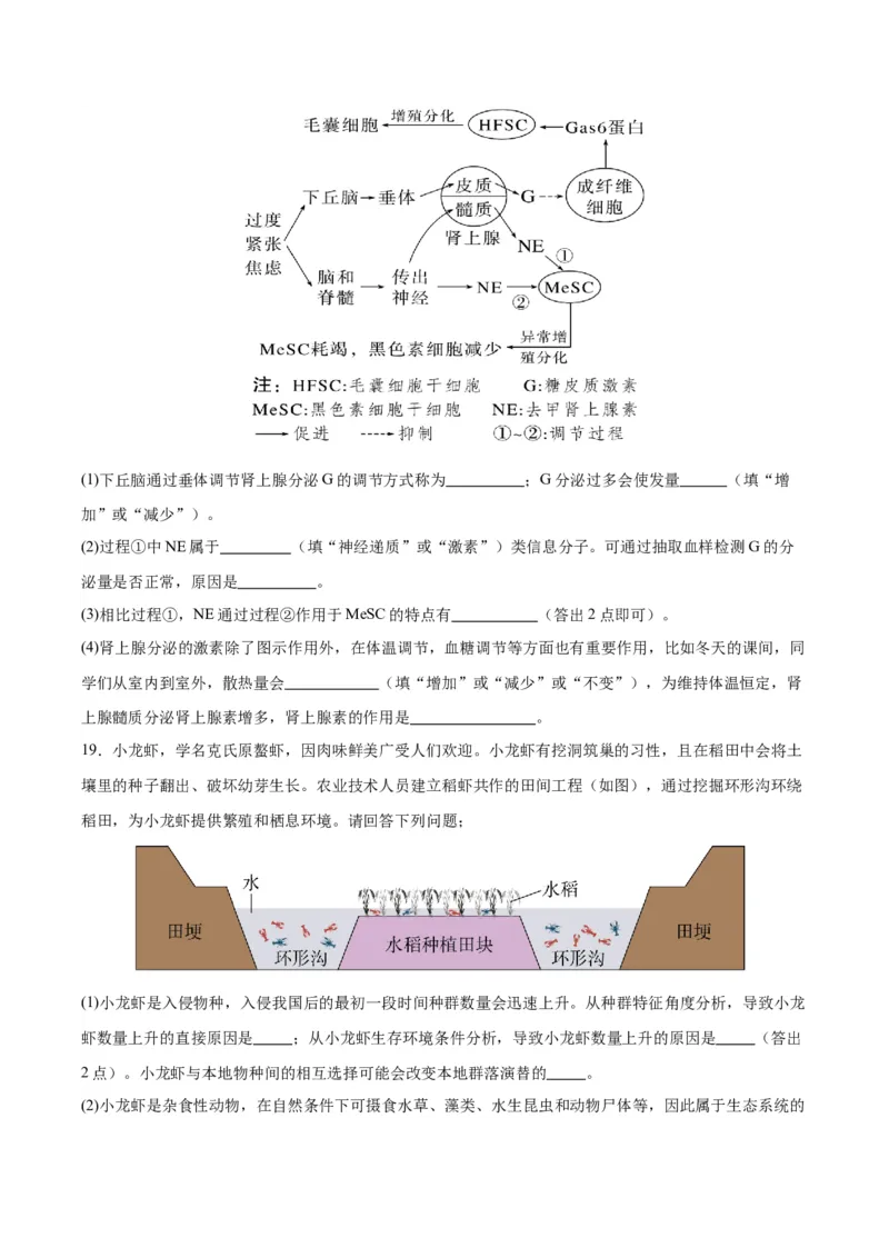 生物（江西卷）（考试版）_2024年1月_01每日更新_13号_学易金卷丨2024年1月&ldquo;七省联考&rdquo;考前猜想卷_生物（江西卷）_生物（江西卷）-2024年1月&ldquo;七省联考&rdquo;考前生物猜想卷