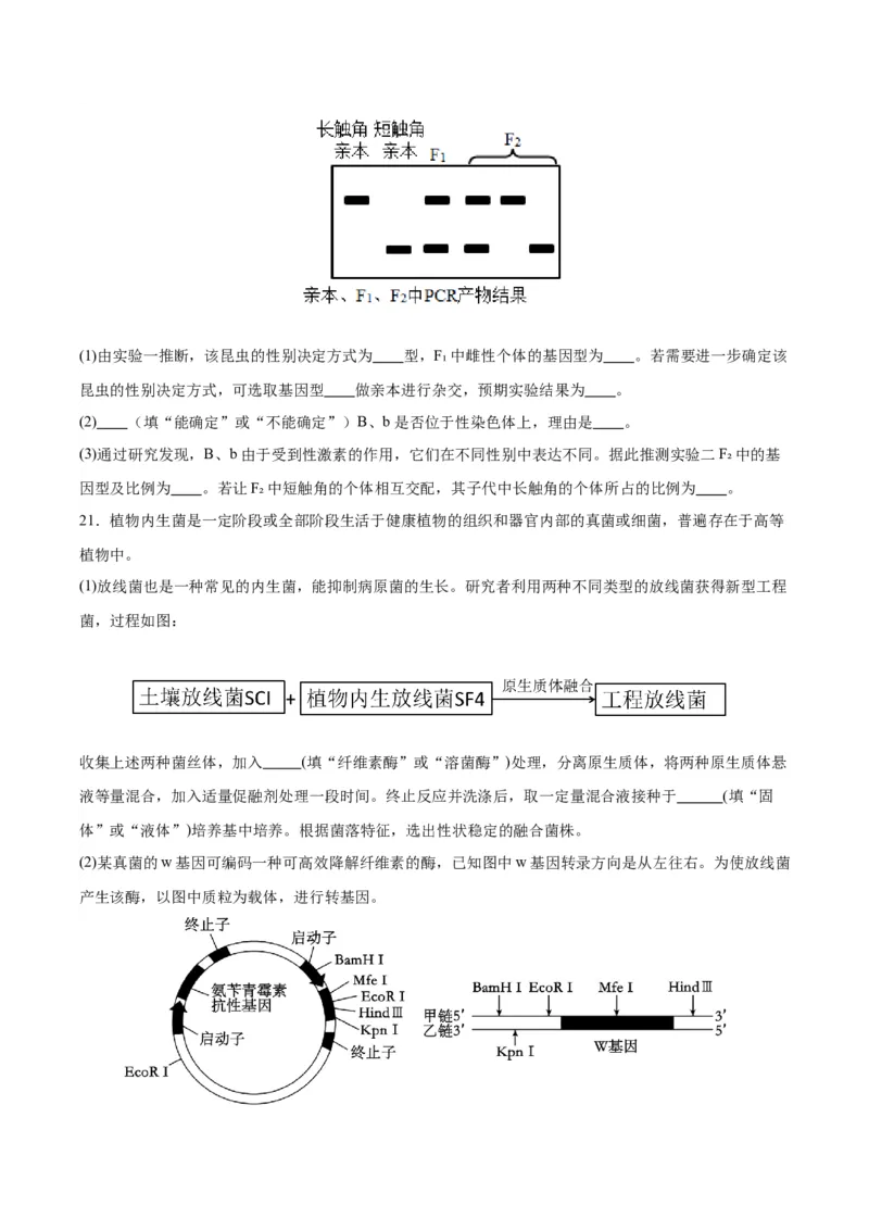生物（江西卷）（考试版）_2024年1月_01每日更新_13号_学易金卷丨2024年1月&ldquo;七省联考&rdquo;考前猜想卷_生物（江西卷）_生物（江西卷）-2024年1月&ldquo;七省联考&rdquo;考前生物猜想卷