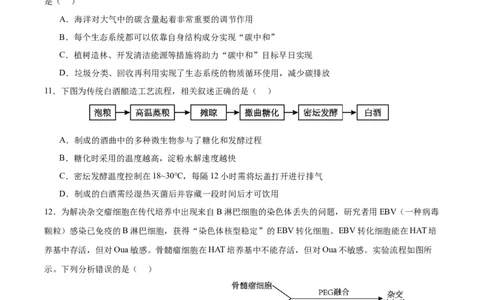 生物（江西卷）（考试版）_2024年1月_01每日更新_13号_学易金卷丨2024年1月&ldquo;七省联考&rdquo;考前猜想卷_生物（江西卷）_生物（江西卷）-2024年1月&ldquo;七省联考&rdquo;考前生物猜想卷