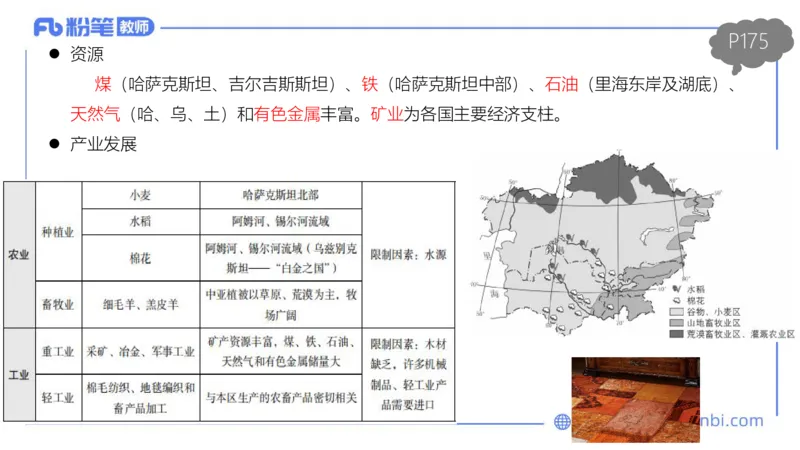 理论精讲14-区域地理1智伟_4-教培资料-26年最新资料-同步更新_初中高中教资_03科三专项（进去保存报考的学科即可）_01科目三FB网课、三色速记手册、知识点导图等推荐_初中