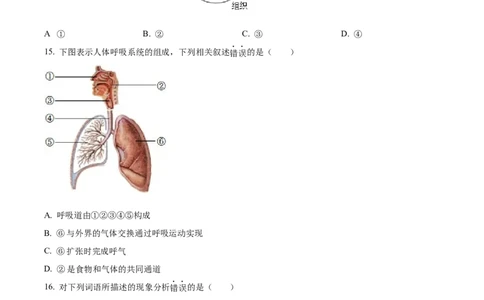 精品解析：2023年四川省广安市中考生物真题（原卷版）_中考真题_8.生物中考真题2015-2024年_2023年全国中考生物7.20_精品解析：2023年四川省广安市中考生物真题