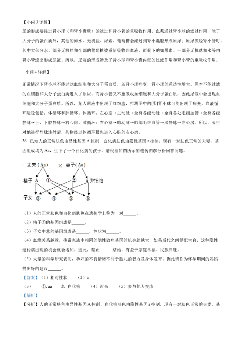 精品解析：2022年湖南省衡阳市中考生物真题（解析版）_中考真题_8.生物中考真题2015-2024年_地区卷_湖南省_湖南衡阳生物17-22