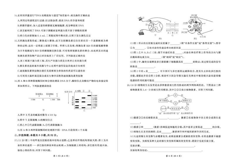 甘肃省武威市2024-2025学年高二下学期7月期末生物试题_2025年7月_250725甘肃省百师联盟2024-2025学年高二下学期期末考试_0823204624_甘肃省武威市2024-2025学年高二下学期7月期末生物试题