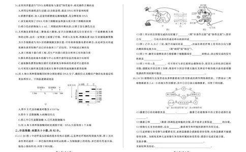甘肃省武威市2024-2025学年高二下学期7月期末生物试题_2025年7月_250725甘肃省百师联盟2024-2025学年高二下学期期末考试_0823204624_甘肃省武威市2024-2025学年高二下学期7月期末生物试题