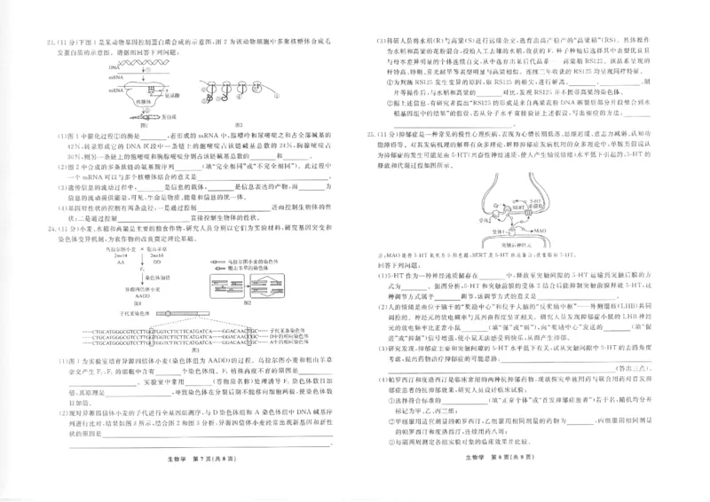 辽宁名校联盟高三11月联考生物试题_251111辽宁省名校联盟2025-2026学年高三上学期11月期中联合考试（全科）_辽宁名校联盟高三11月联考试题答案9科全