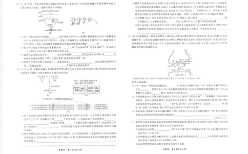 辽宁名校联盟高三11月联考生物试题_251111辽宁省名校联盟2025-2026学年高三上学期11月期中联合考试（全科）_辽宁名校联盟高三11月联考试题答案9科全