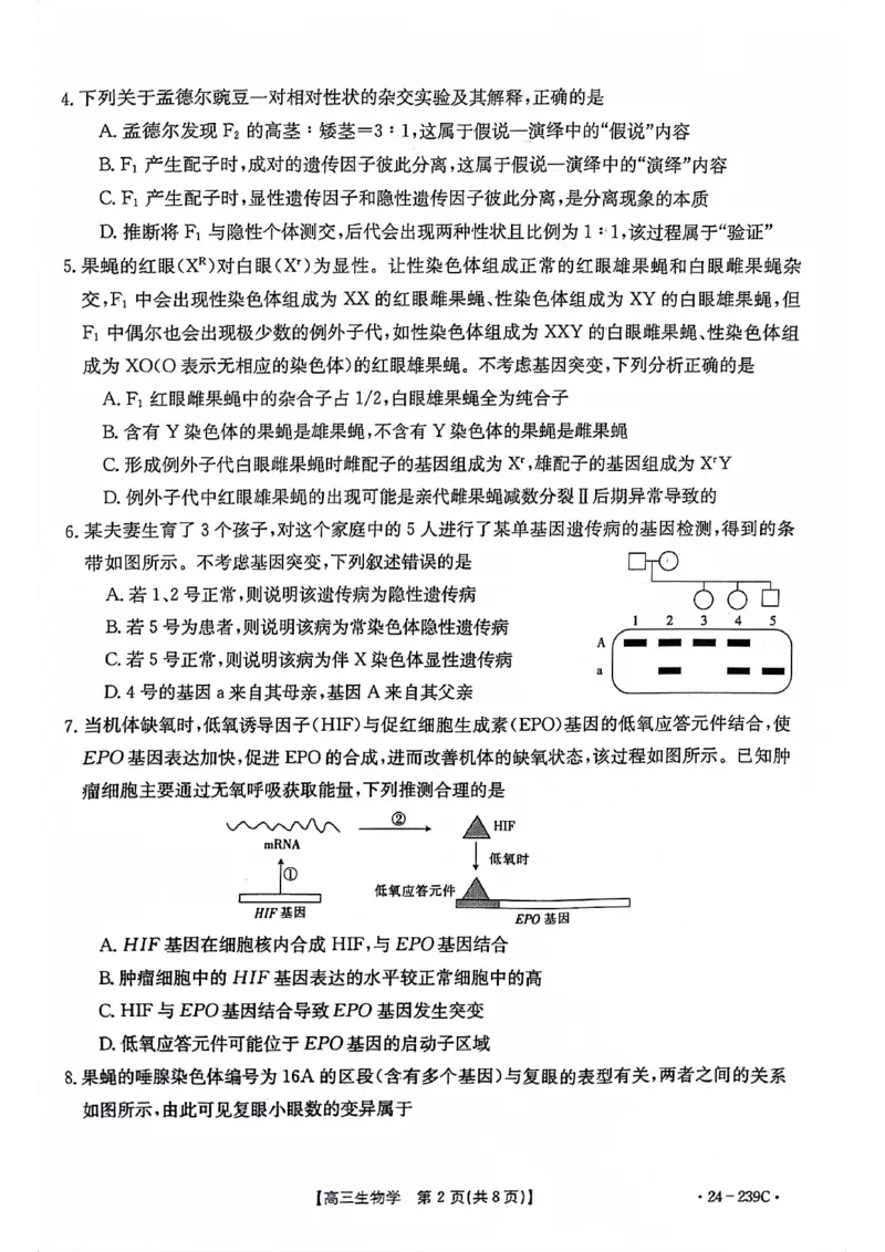 湖北省十堰市2024届高三上学期1月调研考试生物_2024届湖北省十堰市高三上学期1月调研考试_湖北省十堰市2024届高三上学期1月调研考试生物