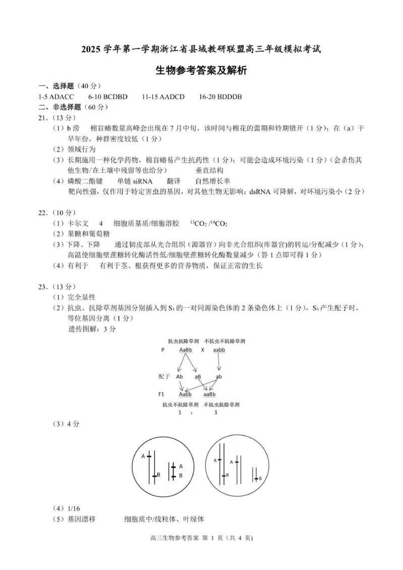 高三生物参考答案及解析_2025年12月_251206浙江县域教研联盟2025学年第一学期12月高三模拟考试（全科）_浙江县域教研联盟2025学年第一学期12月高三模拟考试生物