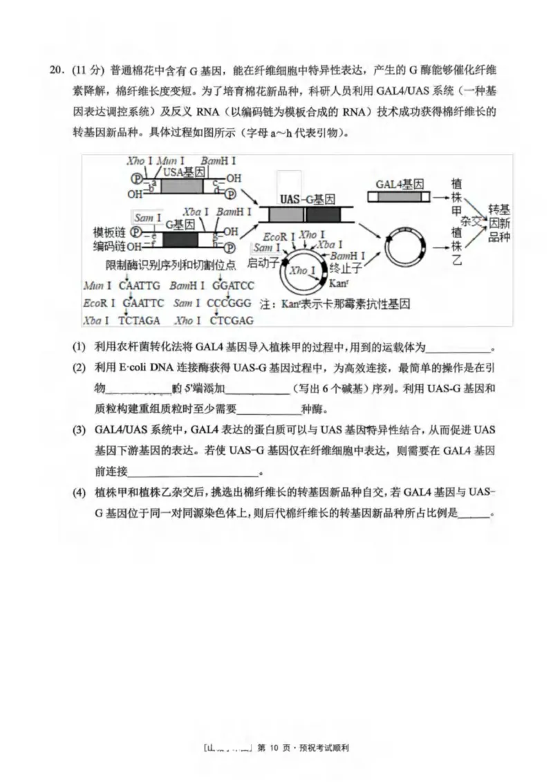 重庆市北碚区西南大学附属中学校2025-2026学年高三上学期12月月考生物试题（PDF版，无答案）_2025年12月_251214重庆市西南大学附属中学校2025-2026学年高三上学期12月月考
