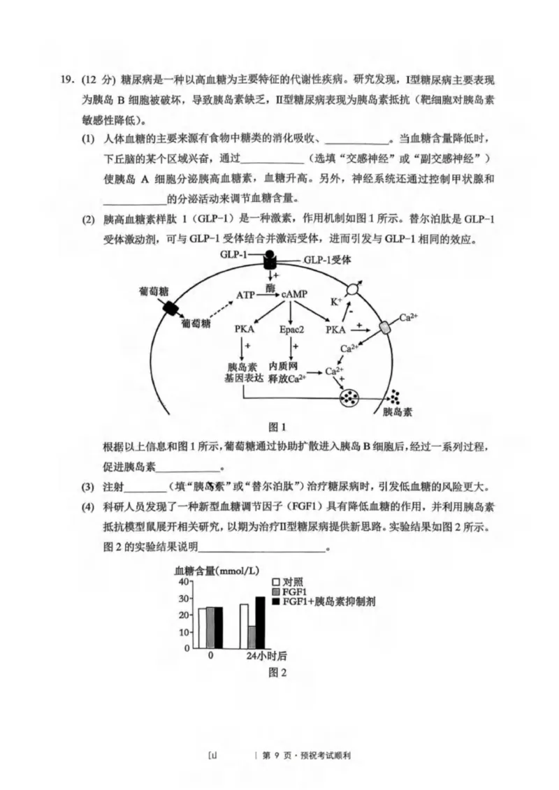 重庆市北碚区西南大学附属中学校2025-2026学年高三上学期12月月考生物试题（PDF版，无答案）_2025年12月_251214重庆市西南大学附属中学校2025-2026学年高三上学期12月月考