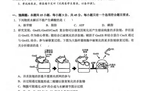 重庆市北碚区西南大学附属中学校2025-2026学年高三上学期12月月考生物试题（PDF版，无答案）_2025年12月_251214重庆市西南大学附属中学校2025-2026学年高三上学期12月月考