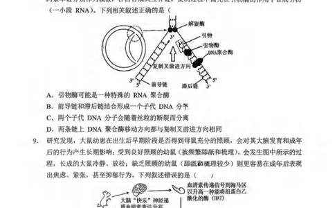 重庆市北碚区西南大学附属中学校2025-2026学年高三上学期12月月考生物试题（PDF版，无答案）_2025年12月_251214重庆市西南大学附属中学校2025-2026学年高三上学期12月月考