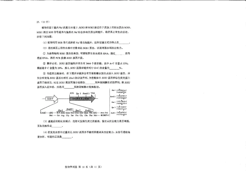 生物（九省联考●吉林卷）丨2024年1月普通高等学校招生全国统一考试适应性测试生物试卷及答案_2024届九省联考吉林卷2024年1月普通高等学校招生全国统一考试适应性测试