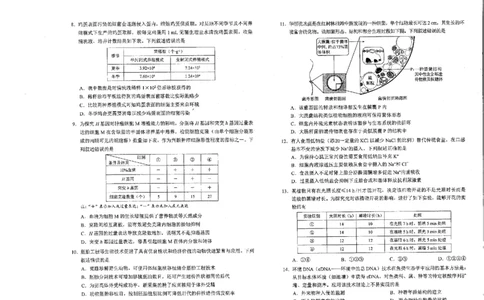 生物（九省联考●吉林卷）丨2024年1月普通高等学校招生全国统一考试适应性测试生物试卷及答案_2024届九省联考吉林卷2024年1月普通高等学校招生全国统一考试适应性测试