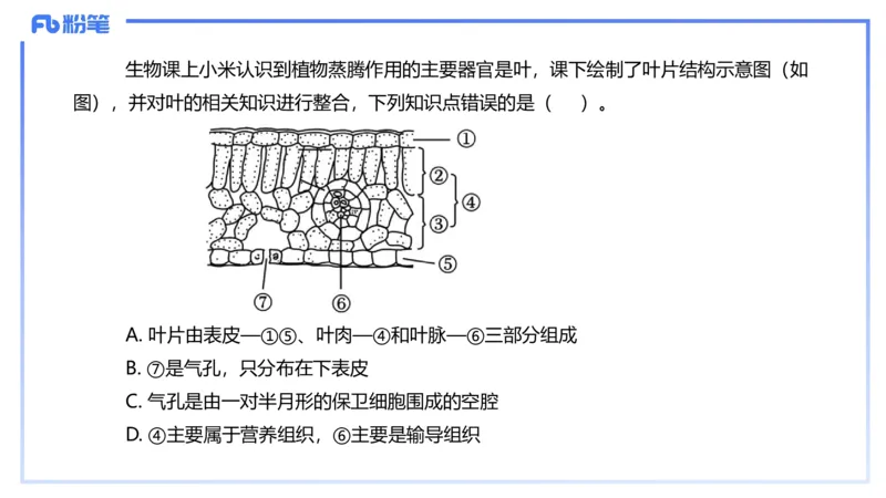 理论精讲16-植物学1-拾光_4-教培资料-26年最新资料-同步更新_初中高中教资_03科三专项（进去保存报考的学科即可）_01科目三FB网课、三色速记手册、知识点导图等推荐_初中
