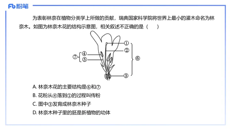 理论精讲16-植物学1-拾光_4-教培资料-26年最新资料-同步更新_初中高中教资_03科三专项（进去保存报考的学科即可）_01科目三FB网课、三色速记手册、知识点导图等推荐_初中
