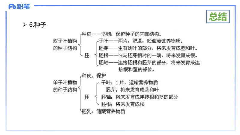 理论精讲16-植物学1-拾光_4-教培资料-26年最新资料-同步更新_初中高中教资_03科三专项（进去保存报考的学科即可）_01科目三FB网课、三色速记手册、知识点导图等推荐_初中