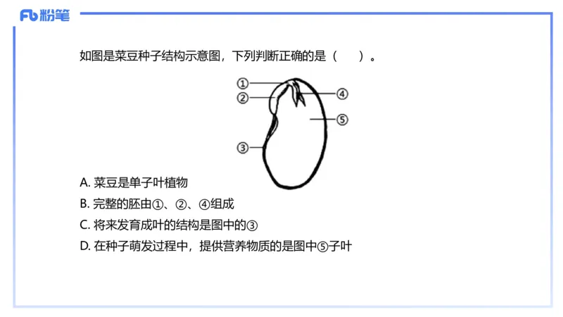 理论精讲16-植物学1-拾光_4-教培资料-26年最新资料-同步更新_初中高中教资_03科三专项（进去保存报考的学科即可）_01科目三FB网课、三色速记手册、知识点导图等推荐_初中