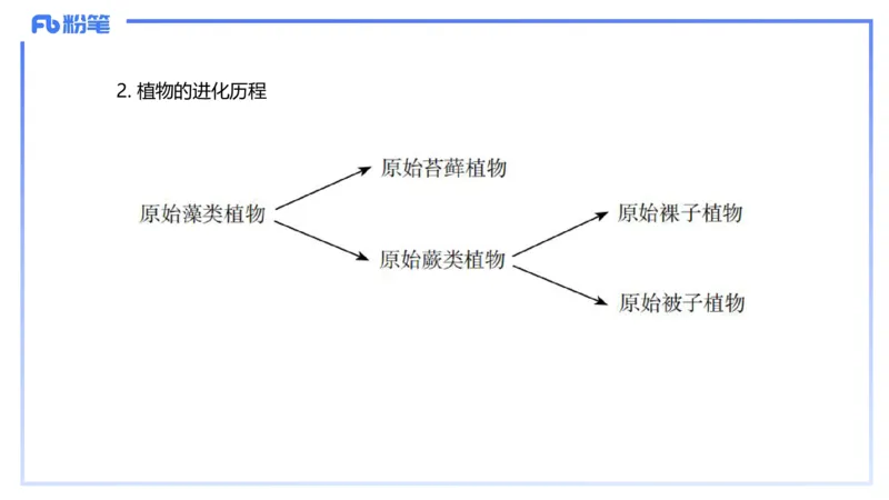 理论精讲16-植物学1-拾光_4-教培资料-26年最新资料-同步更新_初中高中教资_03科三专项（进去保存报考的学科即可）_01科目三FB网课、三色速记手册、知识点导图等推荐_初中