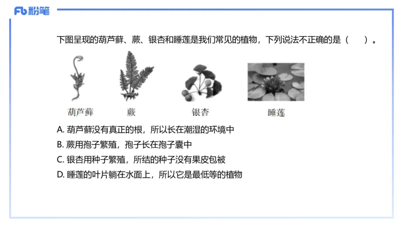 理论精讲16-植物学1-拾光_4-教培资料-26年最新资料-同步更新_初中高中教资_03科三专项（进去保存报考的学科即可）_01科目三FB网课、三色速记手册、知识点导图等推荐_初中