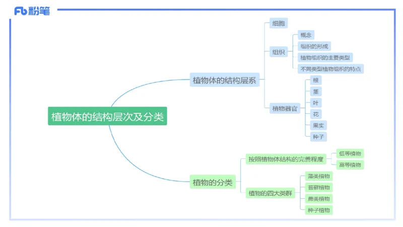 理论精讲16-植物学1-拾光_4-教培资料-26年最新资料-同步更新_初中高中教资_03科三专项（进去保存报考的学科即可）_01科目三FB网课、三色速记手册、知识点导图等推荐_初中