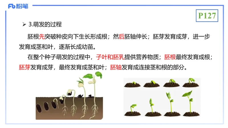 理论精讲16-植物学1-拾光_4-教培资料-26年最新资料-同步更新_初中高中教资_03科三专项（进去保存报考的学科即可）_01科目三FB网课、三色速记手册、知识点导图等推荐_初中