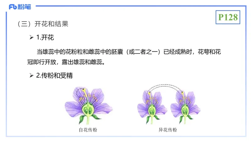理论精讲16-植物学1-拾光_4-教培资料-26年最新资料-同步更新_初中高中教资_03科三专项（进去保存报考的学科即可）_01科目三FB网课、三色速记手册、知识点导图等推荐_初中