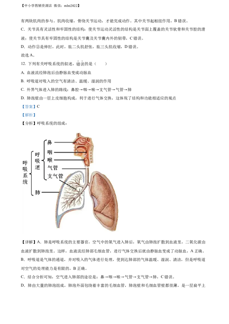 精品解析：2022年山东省滨州市中考生物真题（解析版）_中考真题_8.生物中考真题2015-2024年_2022年全国中考生物114份14