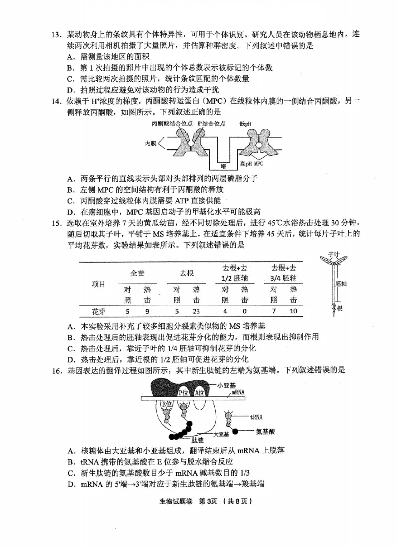 生物卷-2512金丽衢十二校_2025年12月_251204浙江省金丽衢十二校2025学年高三第一次联考（全科）_浙江省金丽衢十二校2025学年高三第一次联考生物试题（含答案）