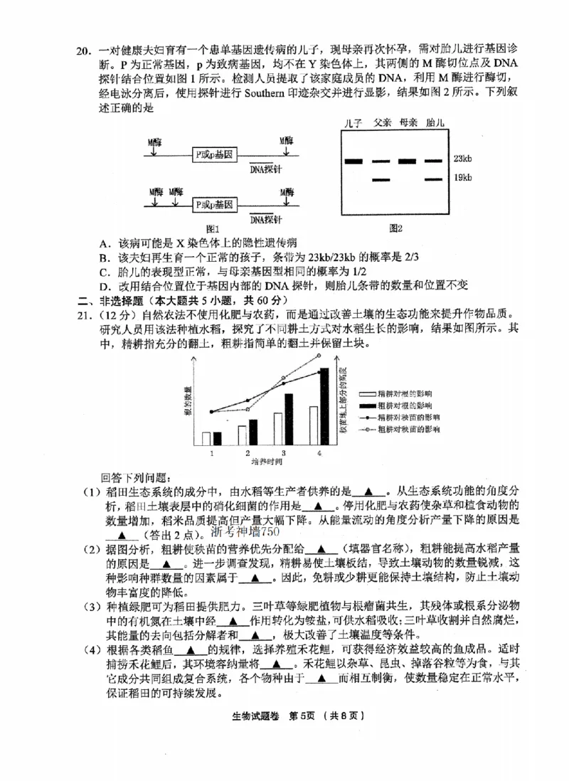 生物卷-2512金丽衢十二校_2025年12月_251204浙江省金丽衢十二校2025学年高三第一次联考（全科）_浙江省金丽衢十二校2025学年高三第一次联考生物试题（含答案）