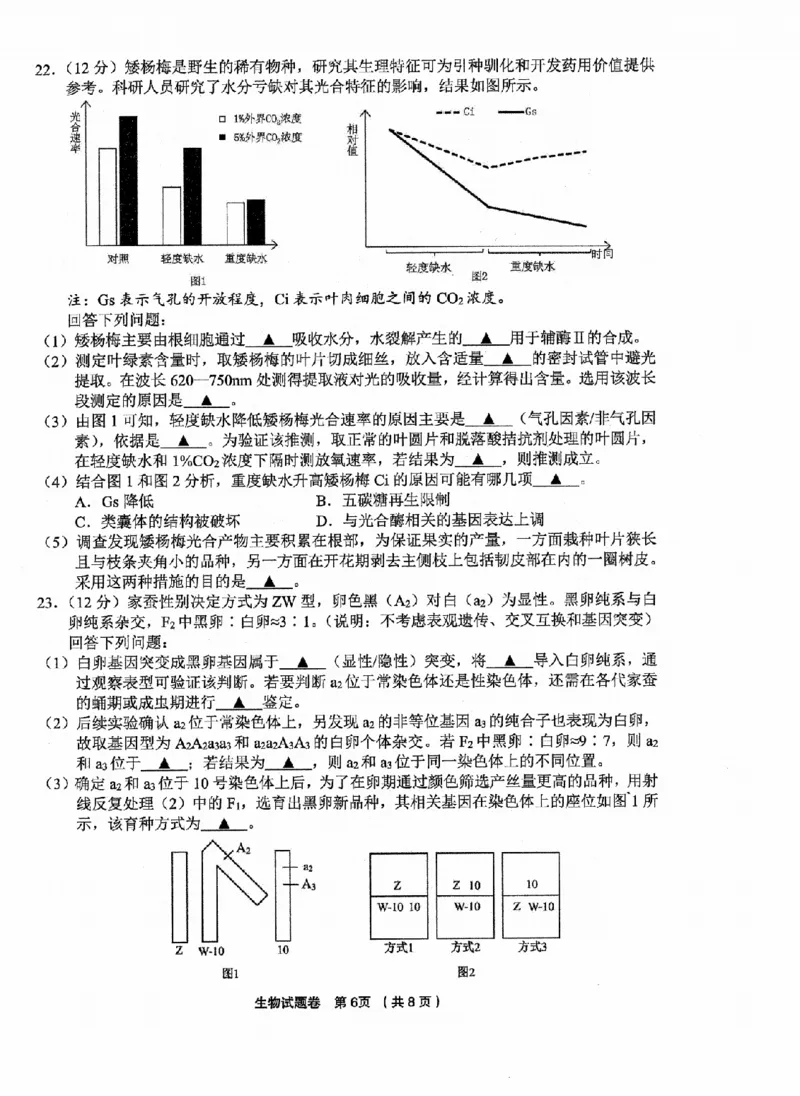生物卷-2512金丽衢十二校_2025年12月_251204浙江省金丽衢十二校2025学年高三第一次联考（全科）_浙江省金丽衢十二校2025学年高三第一次联考生物试题（含答案）