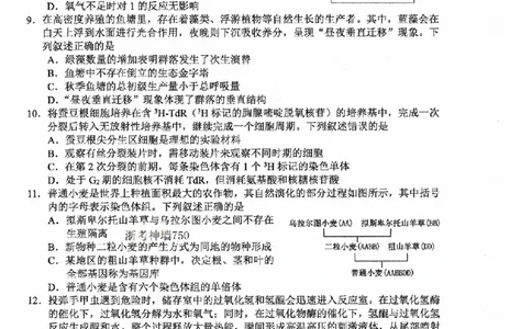 生物卷-2512金丽衢十二校_2025年12月_251204浙江省金丽衢十二校2025学年高三第一次联考（全科）_浙江省金丽衢十二校2025学年高三第一次联考生物试题（含答案）