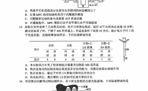 生物卷-2512金丽衢十二校_2025年12月_251204浙江省金丽衢十二校2025学年高三第一次联考（全科）_浙江省金丽衢十二校2025学年高三第一次联考生物试题（含答案）