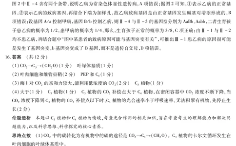 生物学A卷安徽高三12月考答案_2025年12月_251222安徽省天一大联考2025-2026学年高三上学期12月联考（全科）_安徽高三12月考答案